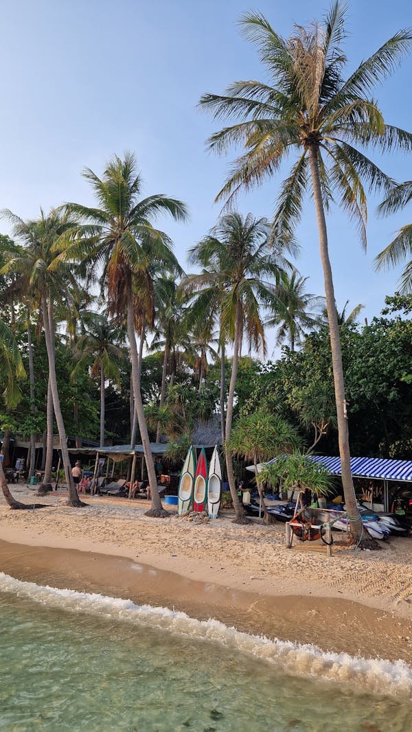 Où partir en février au soleil à prix réduit ? découvrez !
